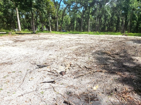4.82 acres cleared fenced with well and power pole: Px4 px4